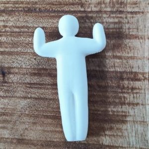 Chameleon Hands-up-Pose